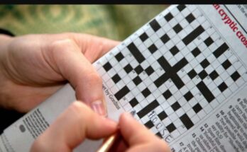 Get Who Gets You dating site Crossword