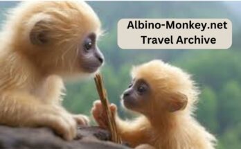 Albino-Monkey.net Travel Archives