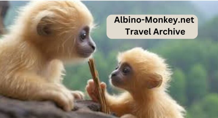 Albino-Monkey.net Travel Archives